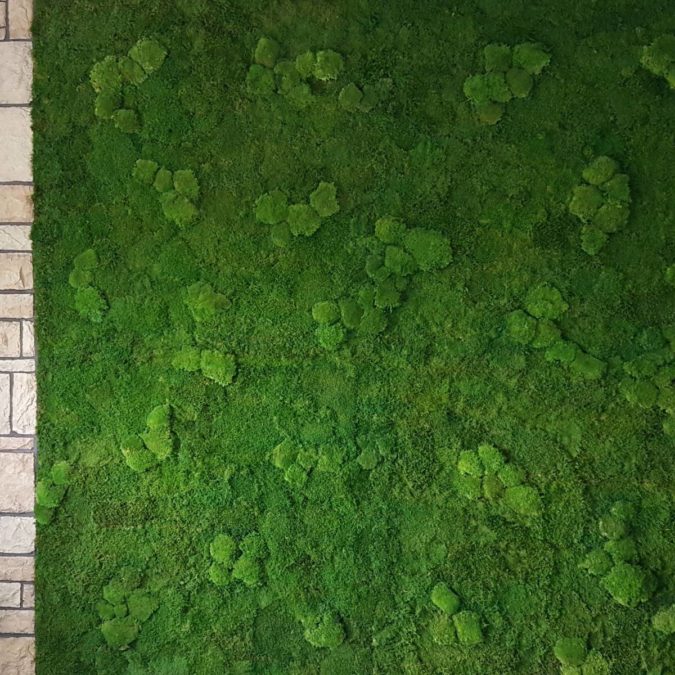 Pierre naturelle Kingersheim