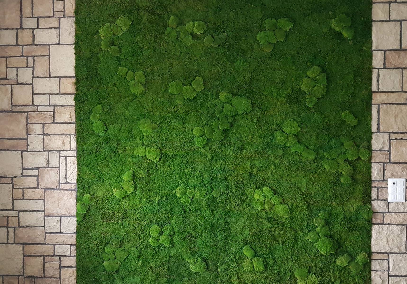 MURVEGETAL | harmony carrelage Pierre naturelle Kingersheim